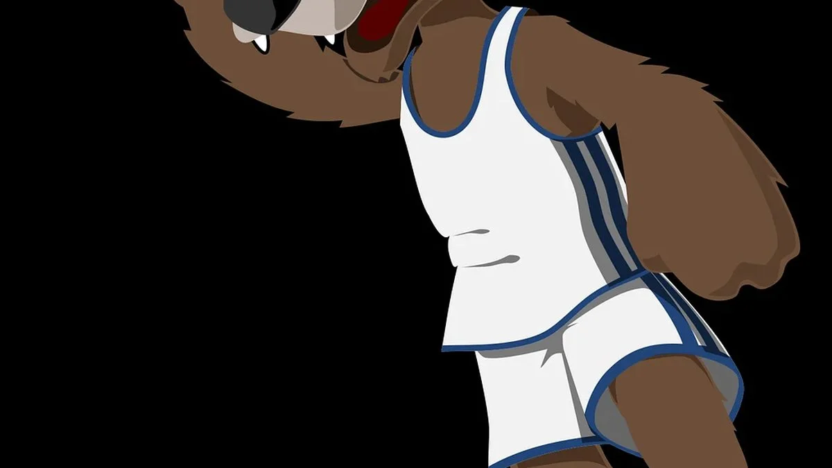NBA休赛期10队焦点:防守稳定性与失误控制