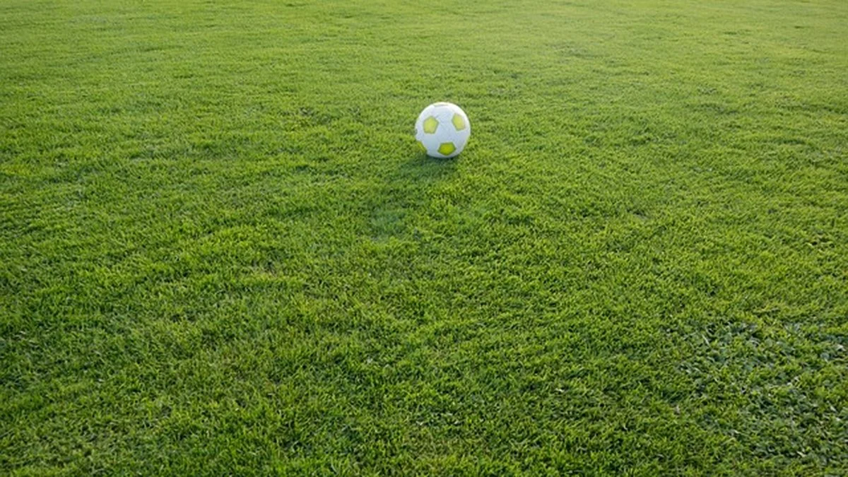 BBC名嘴预测世界杯:替补深度与轮换效率成关键
